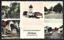 AK Steinhagen /Westfalen