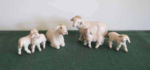 Schaffamilie wie - (6, schafe),