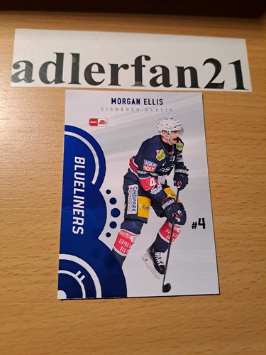 Del 2023 2024 blueliners - del, 2023-2024
