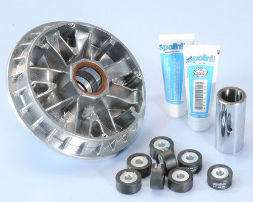 241 651 variator polini - 241.651, für