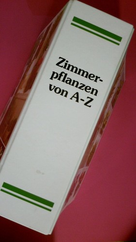 207420 zimmerpflanzen von - 207420,