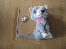 Hasbro furreal friends - friends, katze