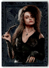 Panini harry potter - harry, magical