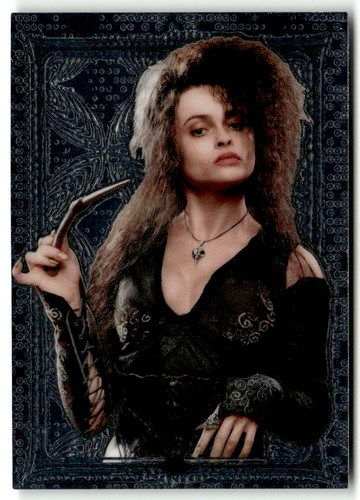 Panini harry potter - potter, magical