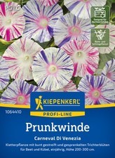 Prunkwinde * Carnevale di Venezia * MHD 01/29 Kiepenkerl Samen 1064410