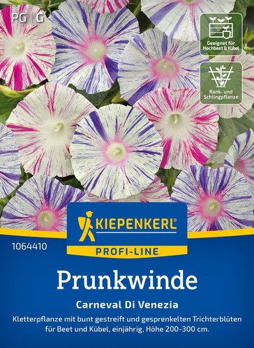 Prunkwinde carnevale di - carnevale,