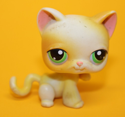 Lps katze pfote oben - pfote,
