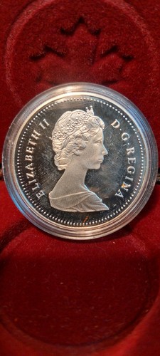 Canadischer silberdollar 1989 - silberdollar,