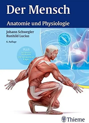 Der mensch anatomie und - mensch,