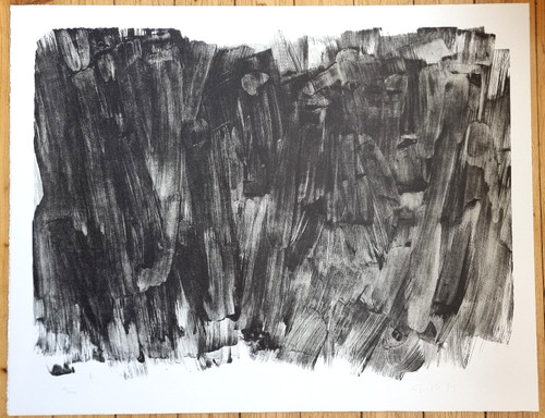 Raimund girke schattenlicht - raimund, girke,