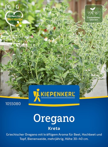 Oregano griechischer kreta - griechischer,