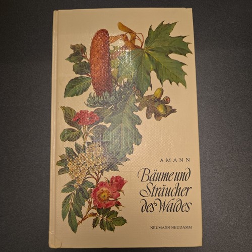 Bäume und sträucher des - und,