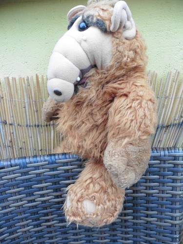 Vintage alf der - vintage,