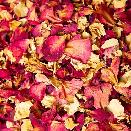 Getrocknete rosenblüten - getrocknete,
