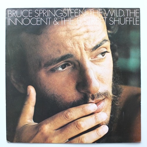 Bruce springsteen the - springsteen, wild