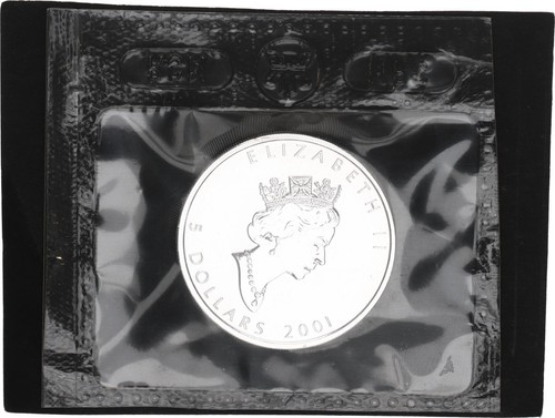 Kanada dollar 1oz silber - 5,