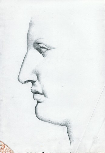 Gesicht studie portrait - gesicht,