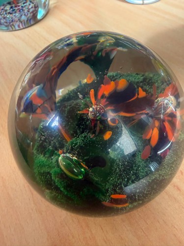 Glas briefbeschwerer - glas,