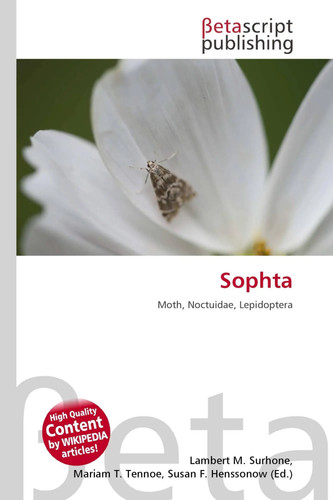 Sophta moth noctuidae - moth,,
