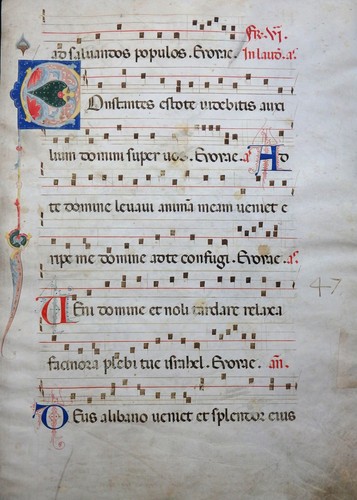 Gotik antiphonar manuscript - antiphonar,