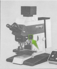 Reichert Polyvar Mikroskop