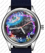 Katze Universum Kätzchen