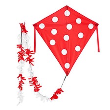 Wolkenstürmer Kinderdrachen