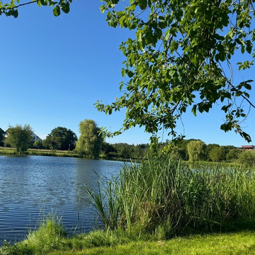 Kurzreise hunsrück kastellaun - kurzreise,