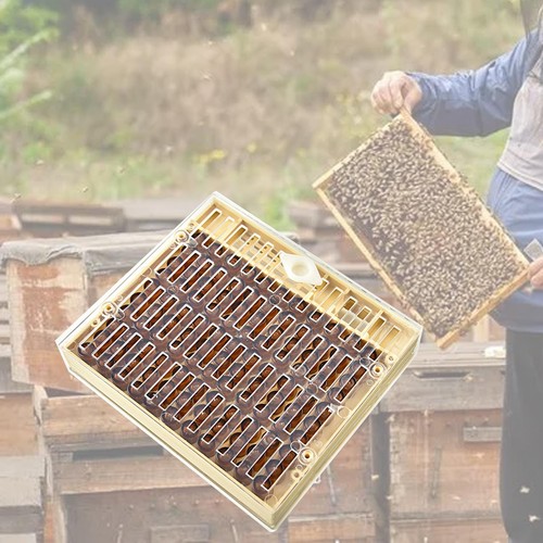 Bienenkönigin-Aufzuchtbox