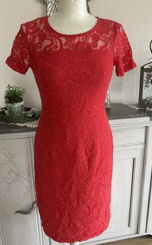 Kleid dorothy perkins - kleid,