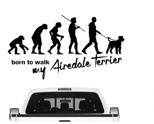 Airedale terrier irish - irish, red