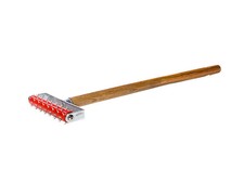 Igelwalze Stachelwalze