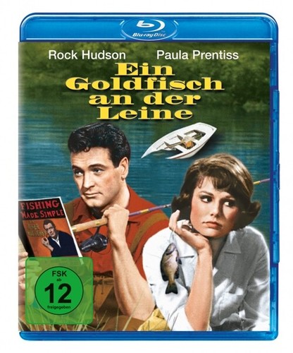 Ein goldfisch der leine - an,