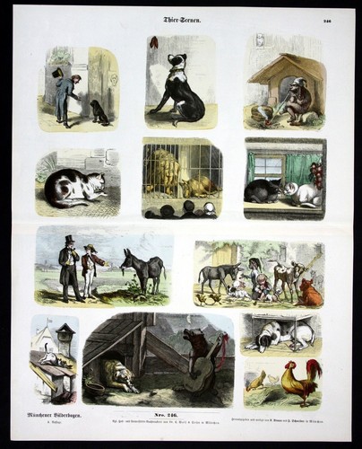 1890 katze katzen hund - 1890,