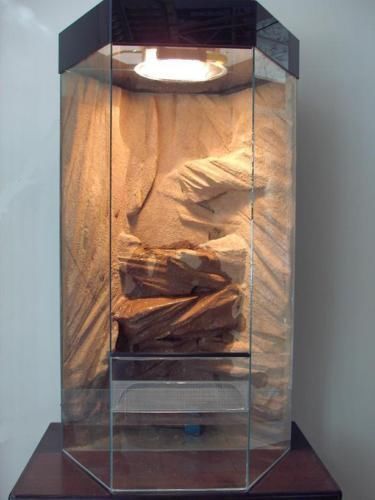 6eck hochkant glas terrarium - hochkant,