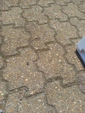 GERATEK MAGDEBURG TK7000