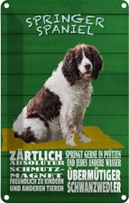 Blechschild 30x20 cm Springer