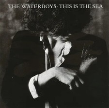 The waterboys this - this,