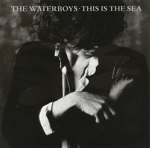 The waterboys this - cd,