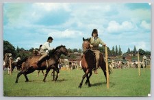 Reitsport Gymkhana Mädchen