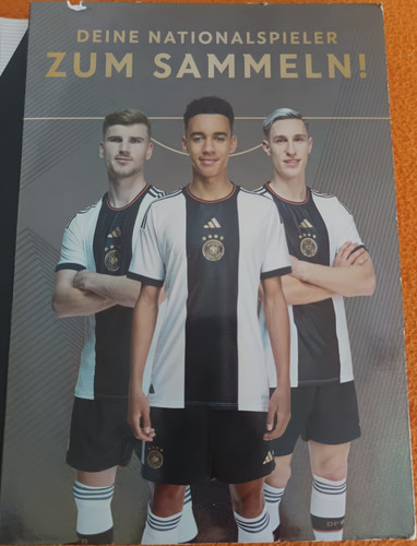 Dfb offizielles sammelalbum - offizielles,