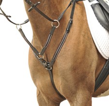 Vorderzeug mit Martingal