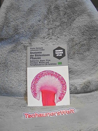 Anatomie der blütenlosen