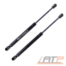 2xGASFEDER HECKKLAPPE L=656