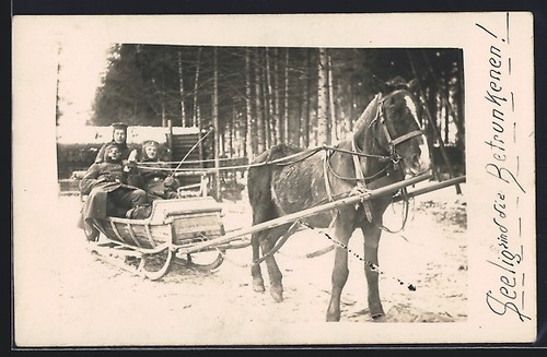 Foto beresina belarus - foto-ak, /belarus