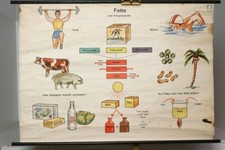 Schulwandkarte Rollkarte