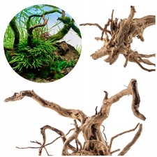 Red Moor Wurzel L 40-50cm -