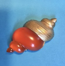 Christian Dior Dune Muschel