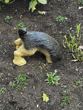 Hund Grabend Buddelnder halber