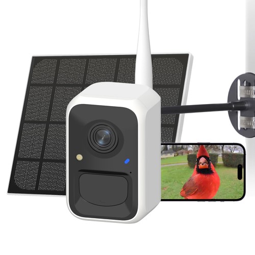 Smart bird feeder camera solar - feeder,
